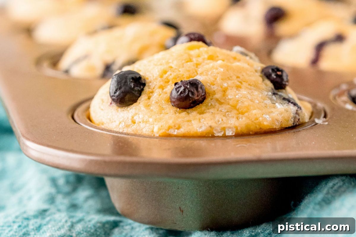 Close-up of a perfectly baked corn muffin in a muffin tin, with a blue napkin underneath