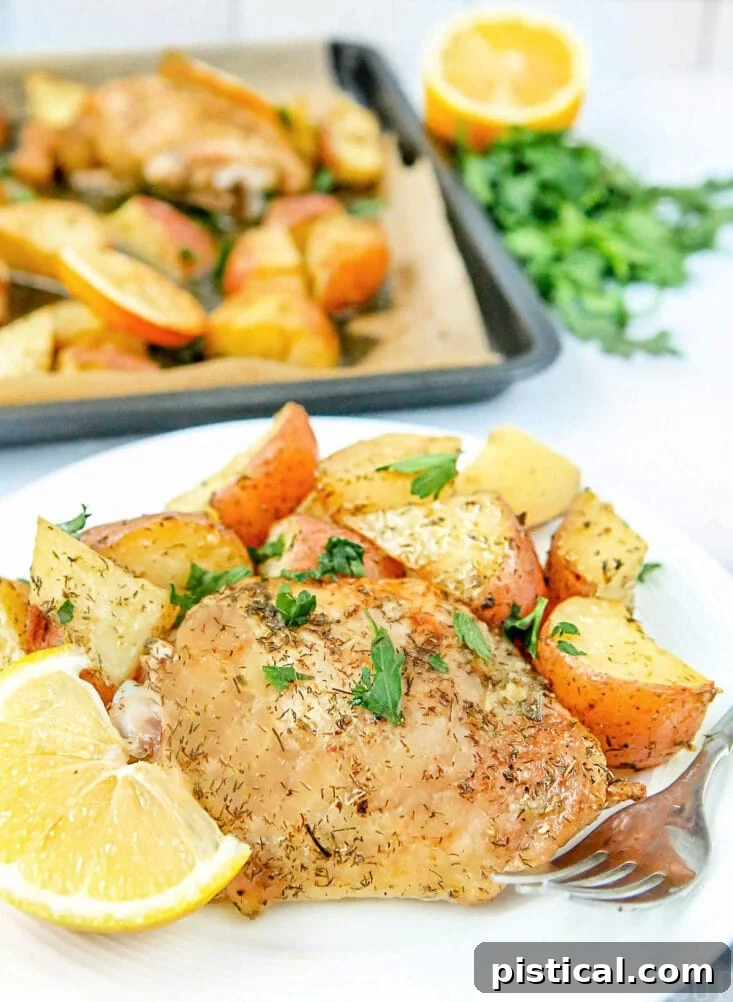 Plated sheet pan Greek chicken recipe, beautifully garnished with fresh parsley and a lemon wedge, ready to be enjoyed as a vibrant and flavorful meal.