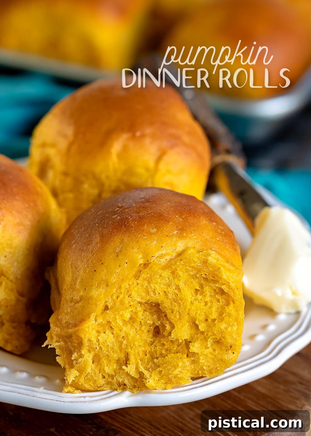 Three golden brown pumpkin dinner rolls elegantly arranged on a pristine white plate, with a dollop of softened butter on the side, ready to be enjoyed.