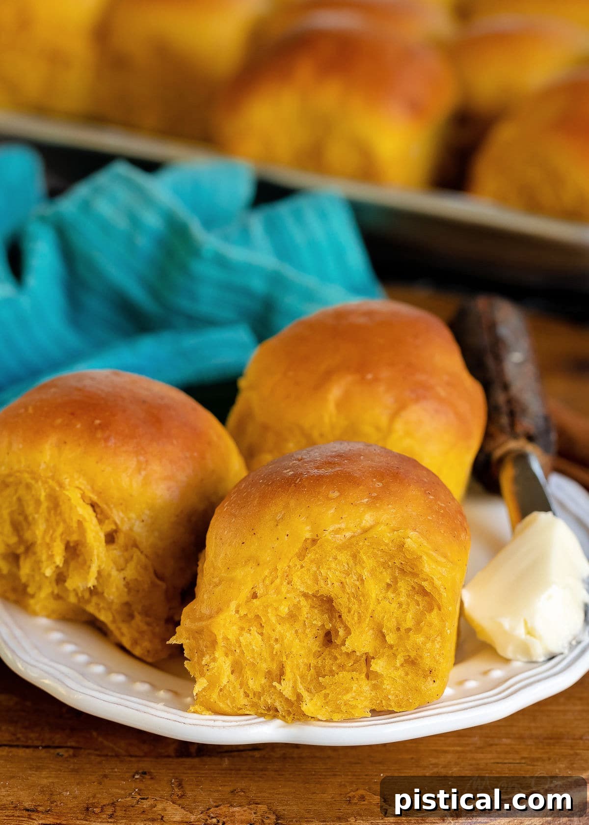 Three perfectly baked pumpkin dinner rolls resting on a white plate with butter, with a baking sheet of more rolls softly blurred in the background, completing the harvest scene.