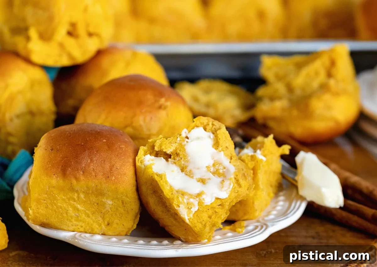 A warm pumpkin dinner roll, expertly split in half and buttered, rests beside two whole, unblemished rolls on a simple white plate, inviting a taste.