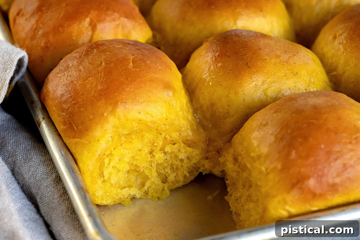 A baking sheet filled with perfectly baked pumpkin dinner rolls, with one roll removed, showcasing their golden-brown tops and inviting texture.
