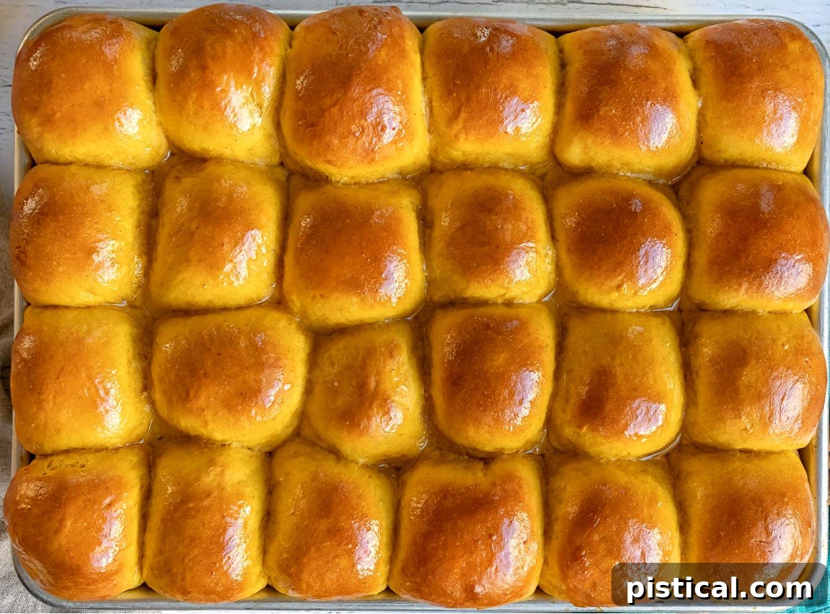 Freshly baked pumpkin rolls arranged on a sheet pan, glistening after being brushed with melted butter, ready to be served warm.