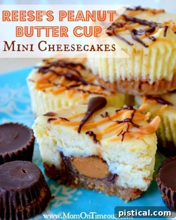 Reese's Peanut Butter Cup Mini Cheesecakes, perfect individual desserts.
