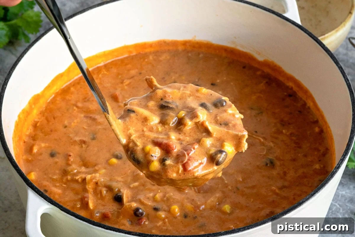ladle full of chicken enchilada soup held over the pot