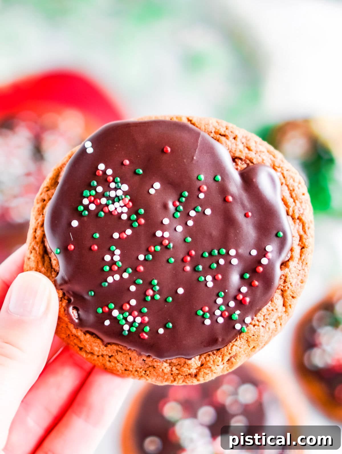 A hand holding up a chocolate cookie adorned with red, green, and white sprinkles, illuminated by natural light