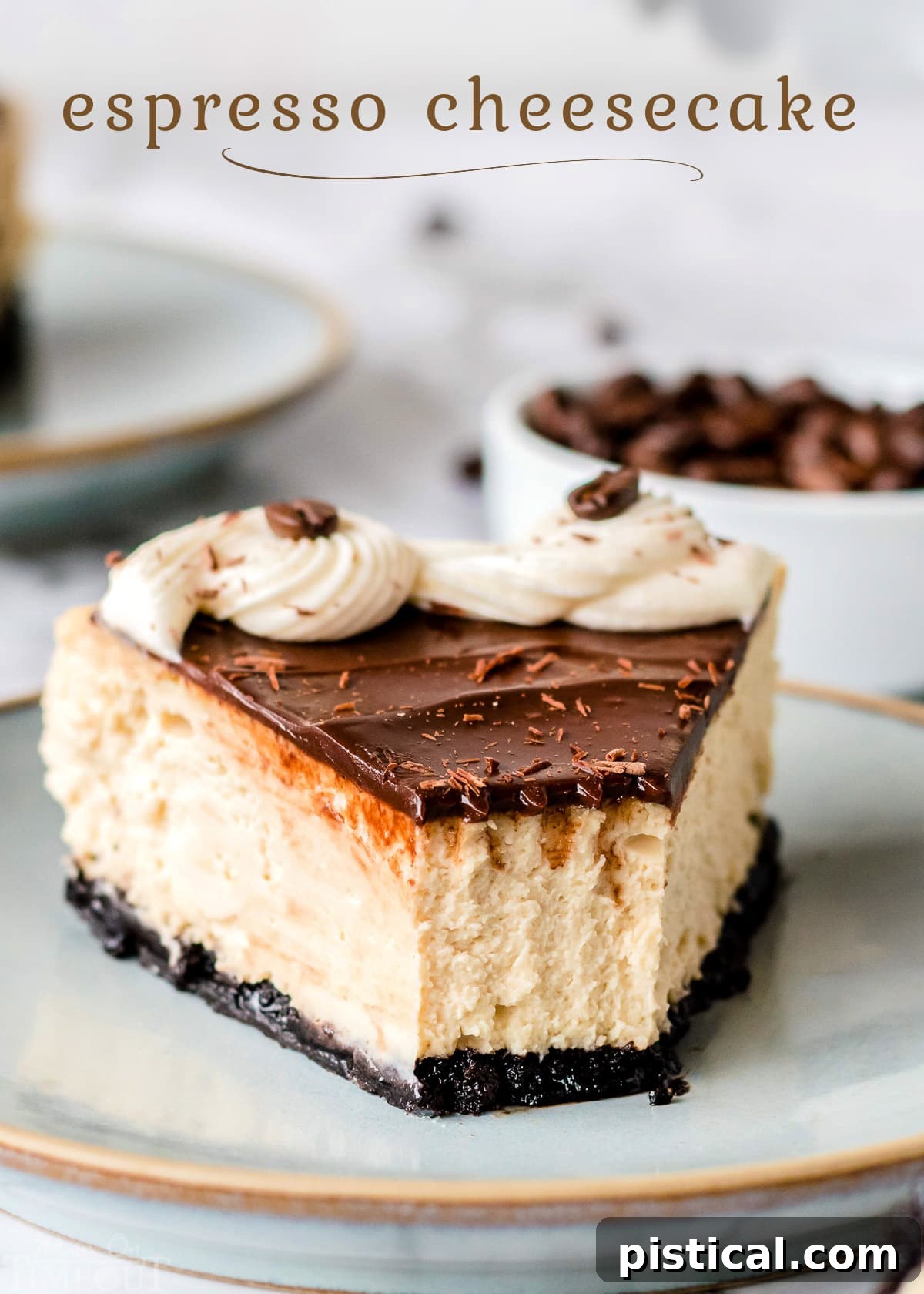 A beautifully sliced piece of espresso cheesecake on a pottery plate, adorned with glistening chocolate ganache and a delicate cream cheese frosting swirl. The title overlay is prominently displayed at the top.