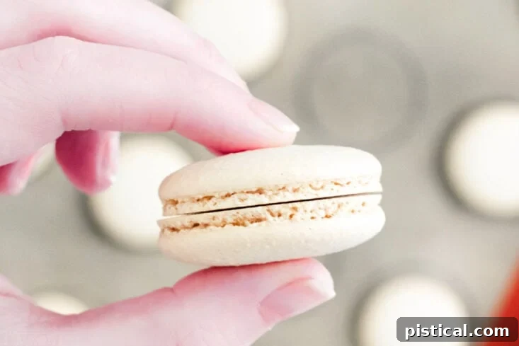 Baileys Macarons 9 A baker carefully holding two perfectly matched macaron shells, emphasizing the importance of pairing for assembly.