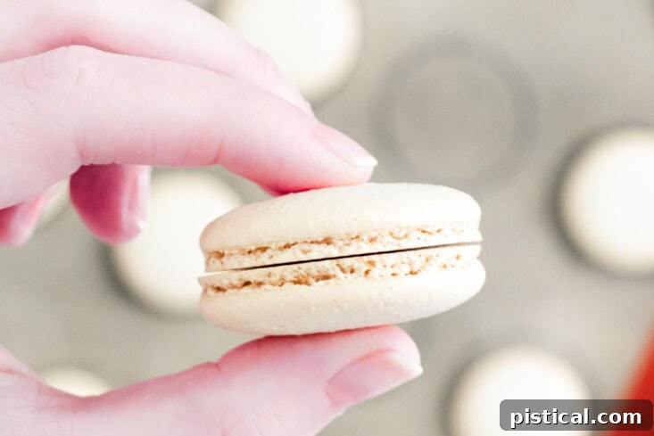 Pastel Easter Macarons 11 two macaron shells of the same size being held up.
