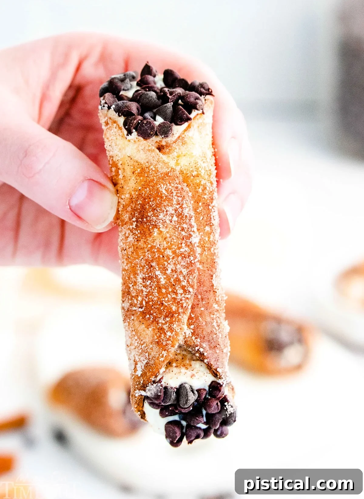 Cannoli with mini chocolate chips at either end, being held up over a white plate.