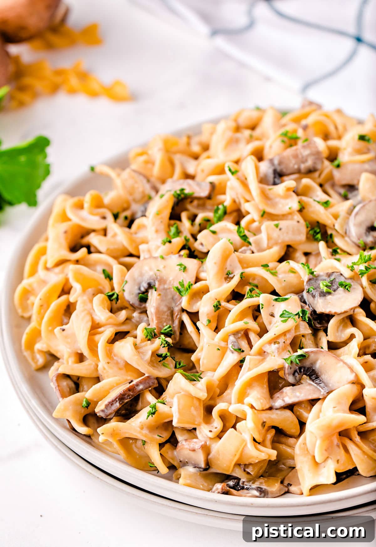 close up look at stroganoff with mushrooms on white plate with white and black towel in background.