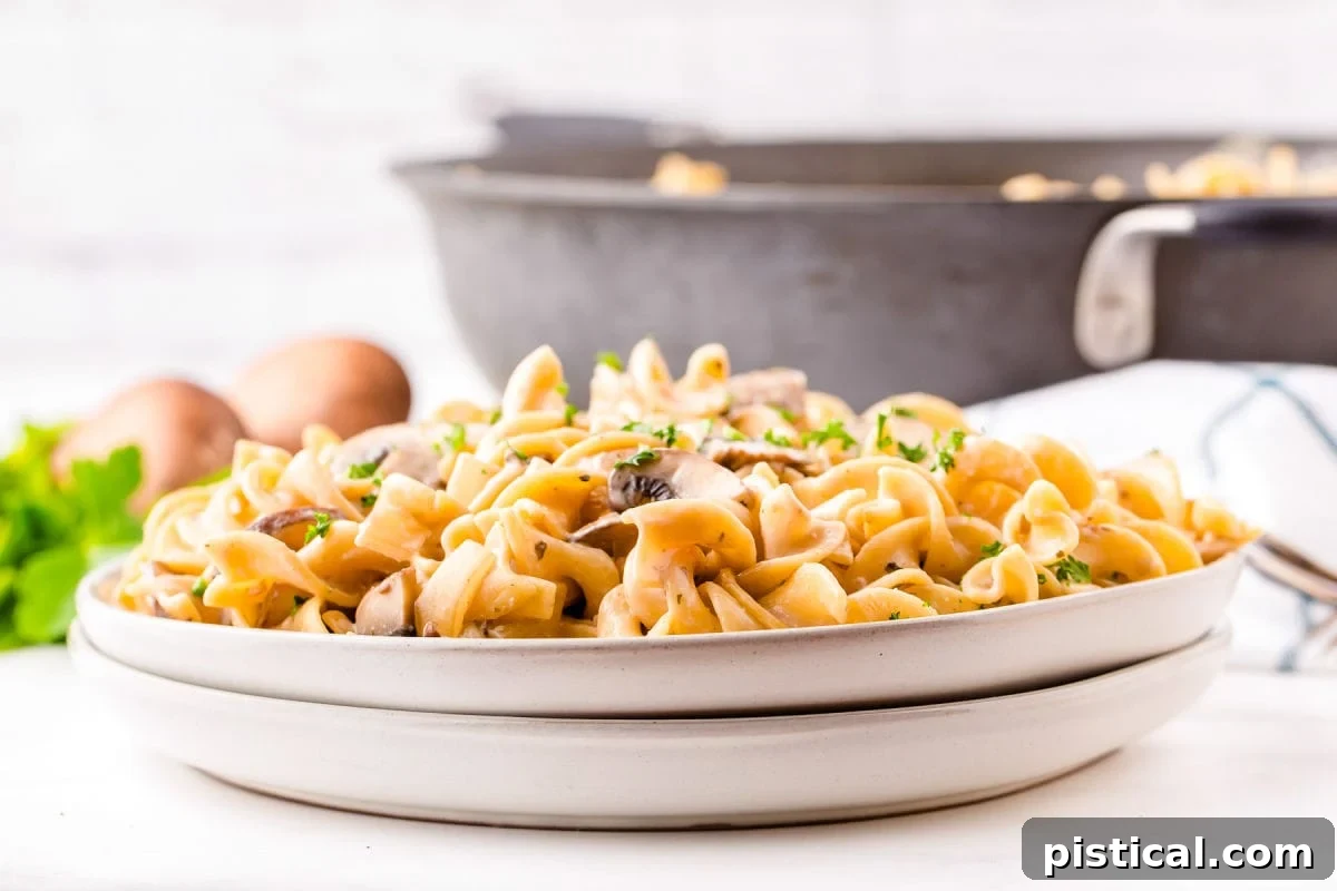 two plates stacked with mushroom stroganoff and skillet in background.