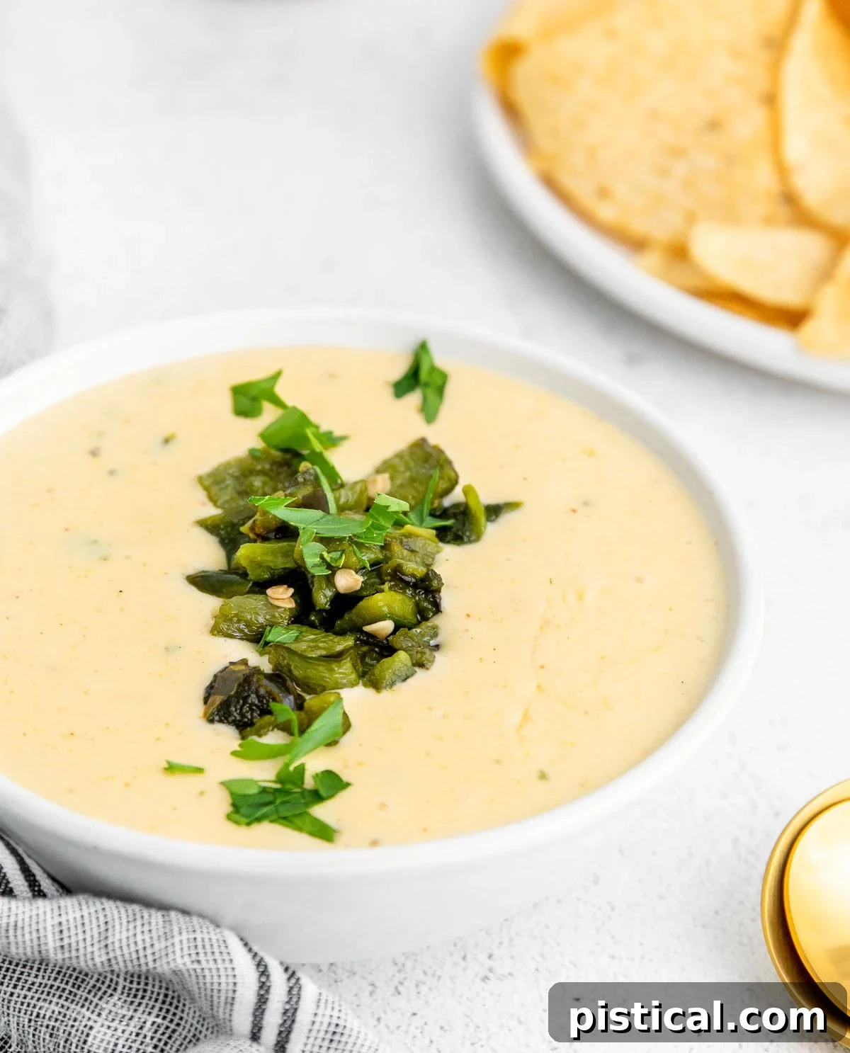 Close-up of creamy white queso in a pristine white bowl, delicately garnished with fresh cilantro leaves, highlighting its smooth texture and inviting appeal.