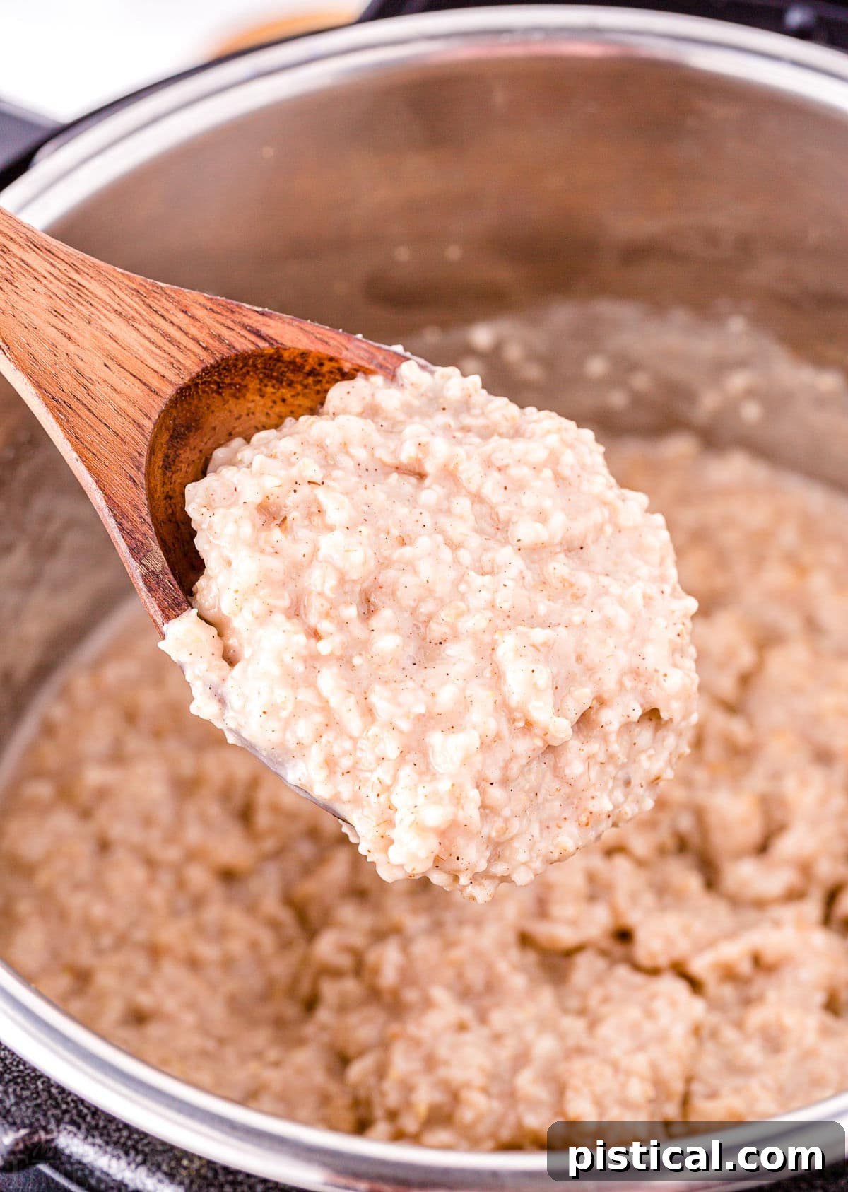 A spoonful of thick and creamy steel cut oats, highlighting its rich texture.