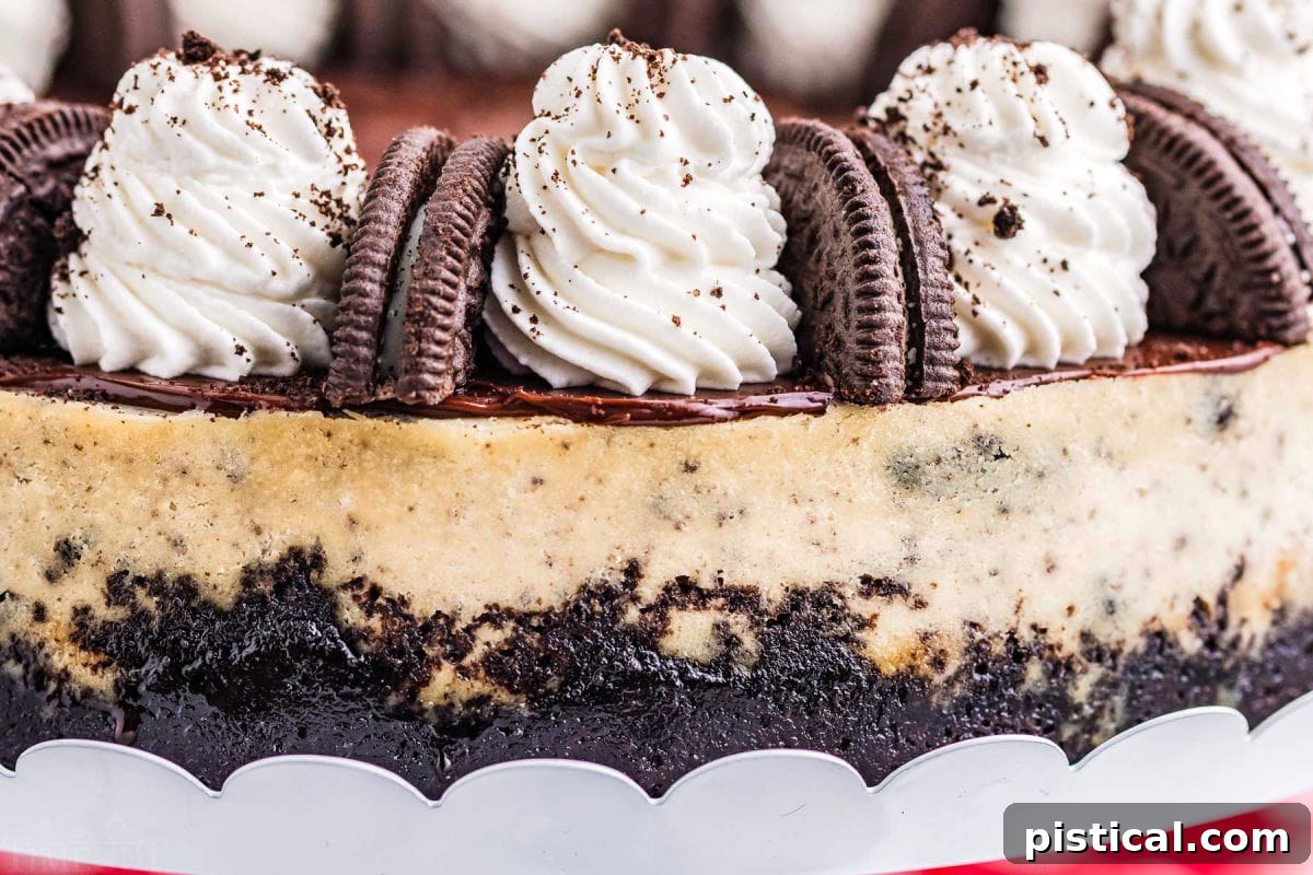 A detailed close-up shot showcasing the fluffy whipped cream and scattered Oreo pieces crowning the top of a delicious cheesecake.