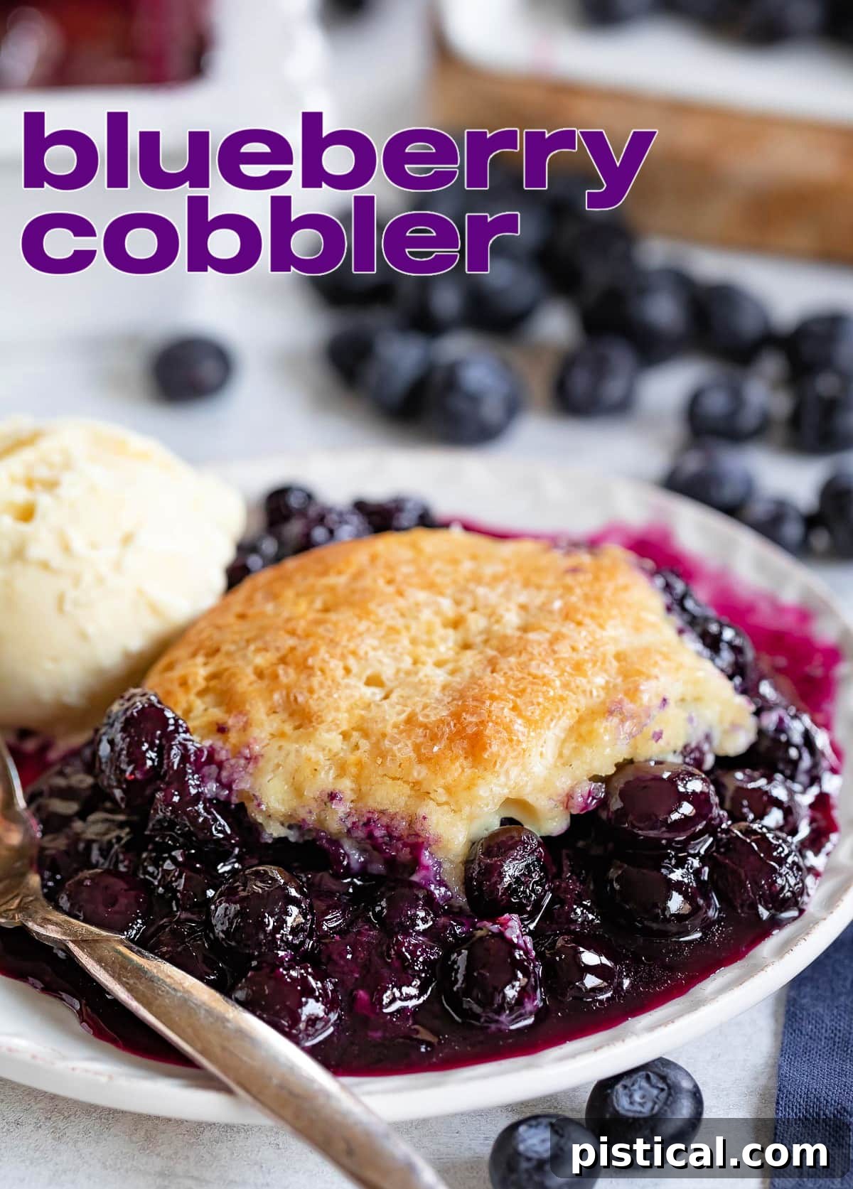 Sweet Summer Blueberry Delight 2 A serving of homemade Blueberry Cobbler on a small white plate, accompanied by a scoop of vanilla ice cream. Fresh blueberries are scattered around the plate, enhancing its appeal. The image title overlay suggests a perfect summer dessert.