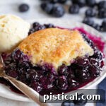 Sweet Summer Blueberry Delight 9 blueberry cobbler on small plate served with a scoop of vanilla ice cream. Fresh blueberries scattered about.