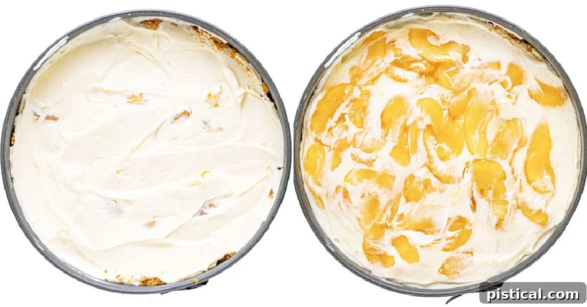 A two-image collage illustrating the assembly process of the apple cheesecake in a springform pan, showing the crust and the filling being layered.