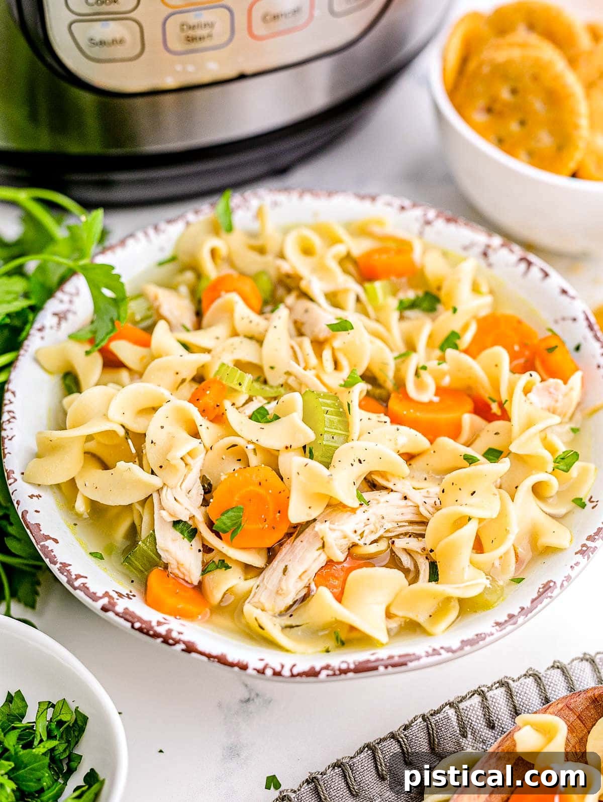A generous bowl of Instant Pot Chicken Noodle Soup, garnished with fresh chopped parsley, sits invitingly in front of a sleek Instant Pot appliance.