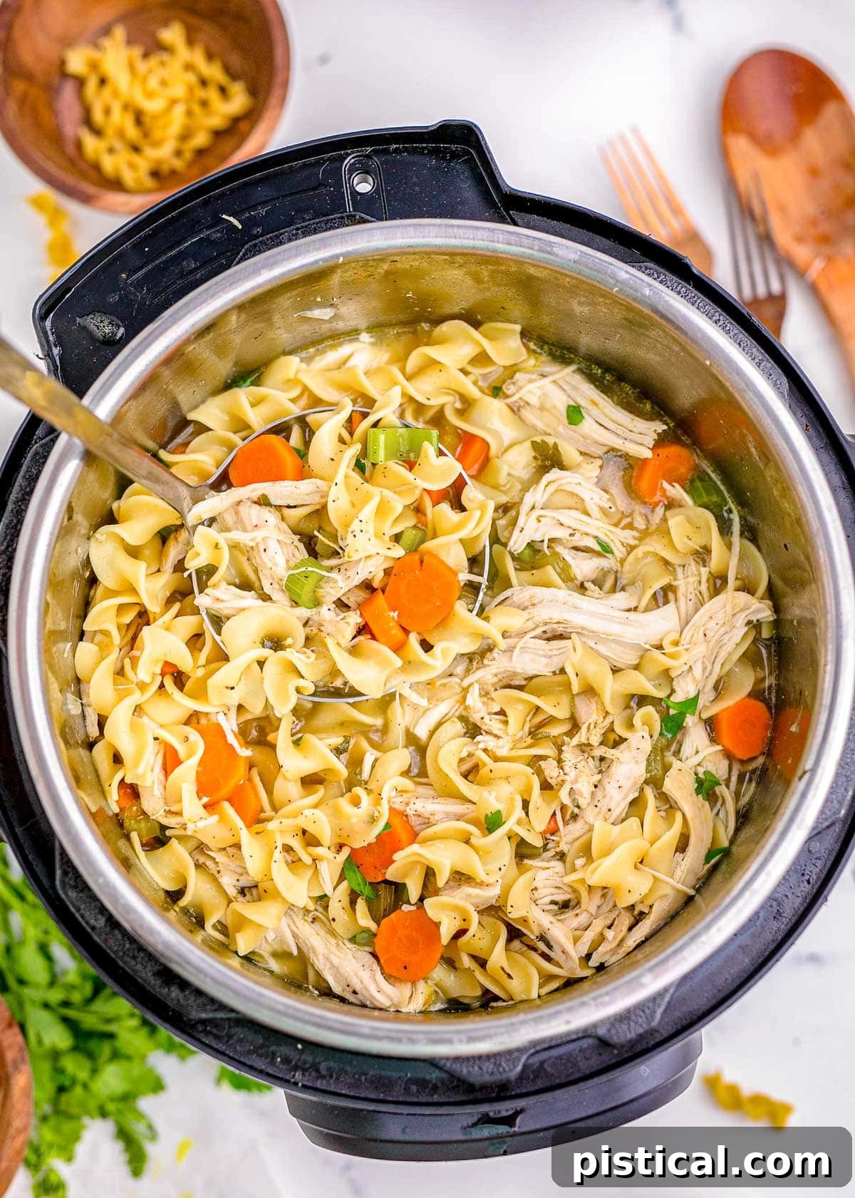 A top-down view of perfectly cooked chicken noodle soup, ready to be served directly from the Instant Pot.