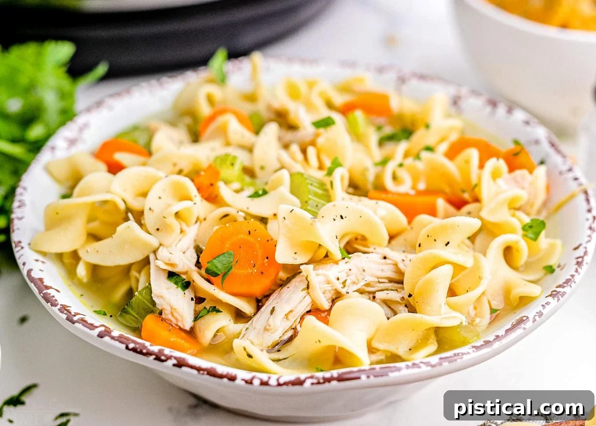 A large white bowl filled with a generous serving of Instant Pot Chicken Noodle Soup, invitingly warm and ready to be enjoyed.