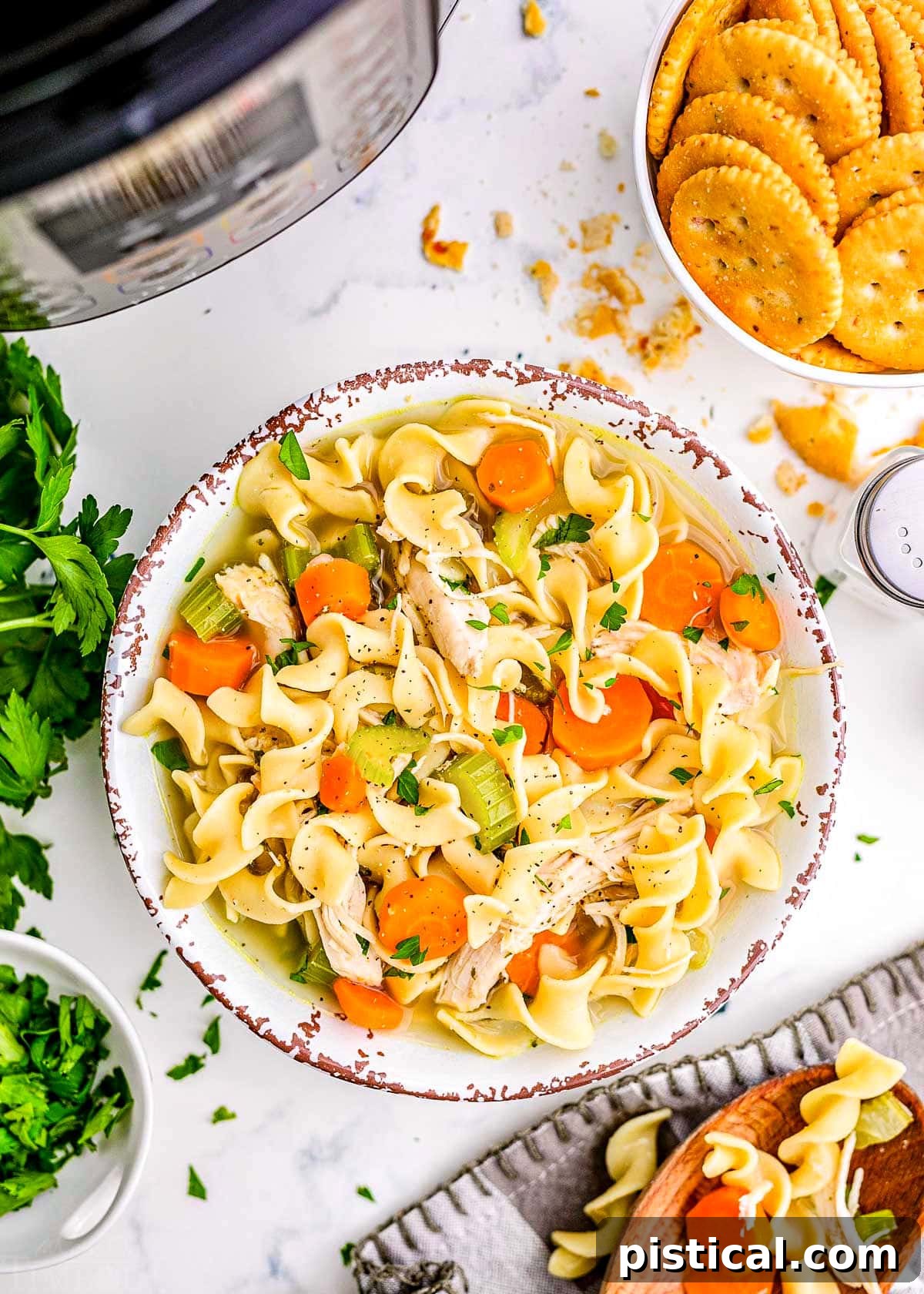 A comforting bowl of Instant Pot Chicken Noodle Soup is presented alongside a bowl of crackers and fresh parsley, all set in front of a modern pressure cooker.