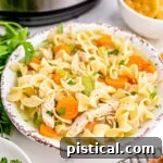 A small image of a bowl of Instant Pot Chicken Noodle Soup, garnished with fresh chopped parsley.