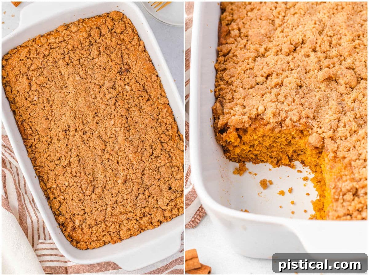 A two-image collage showcasing a pumpkin cake with streusel topping: one image displays the whole, beautifully baked cake, while the other features a slice elegantly removed, revealing its moist interior.