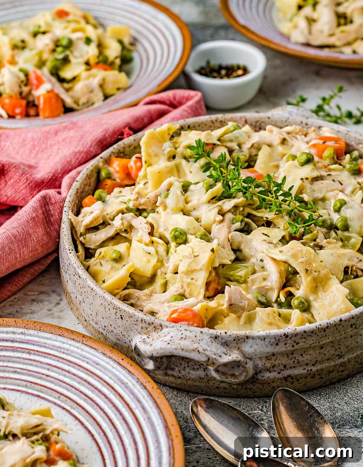 Savory Chicken Noodle Comfort 3 large pottery bowl filled with chicken noodles recipe topped with fresh thyme. Small dinner plates also have servings on them.