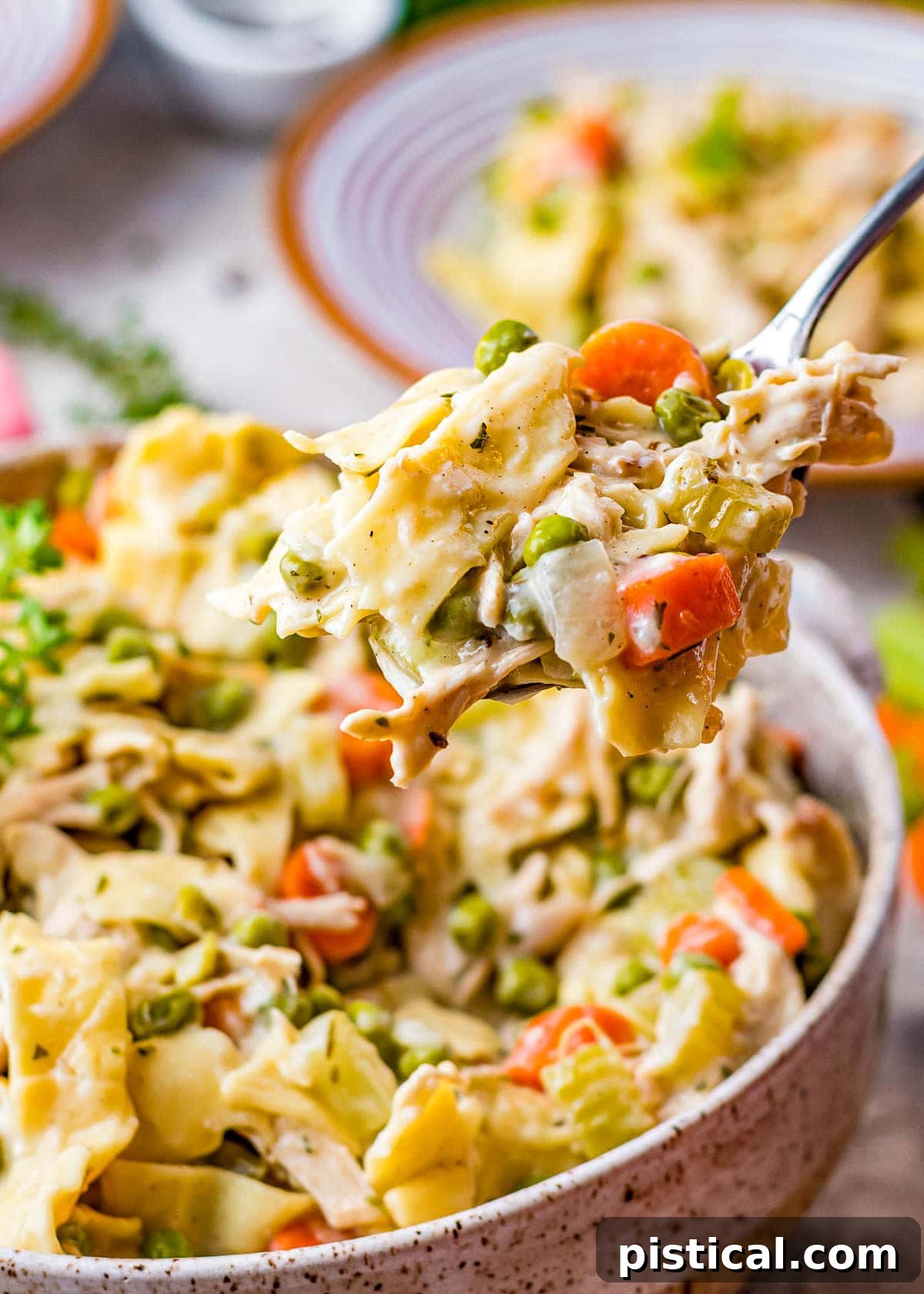 Savory Chicken Noodle Comfort 6 spoonful of chicken noodles dish being held up over the serving bowl.g