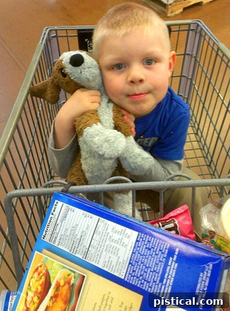 Bryce with his blue-tinted stuffed puppy, shopping for groceries at Walmart