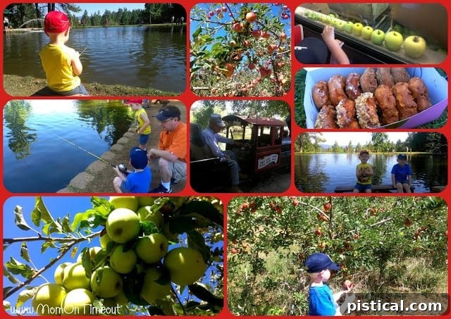 Family enjoying apple picking in a scenic orchard during fall at Apple Hill