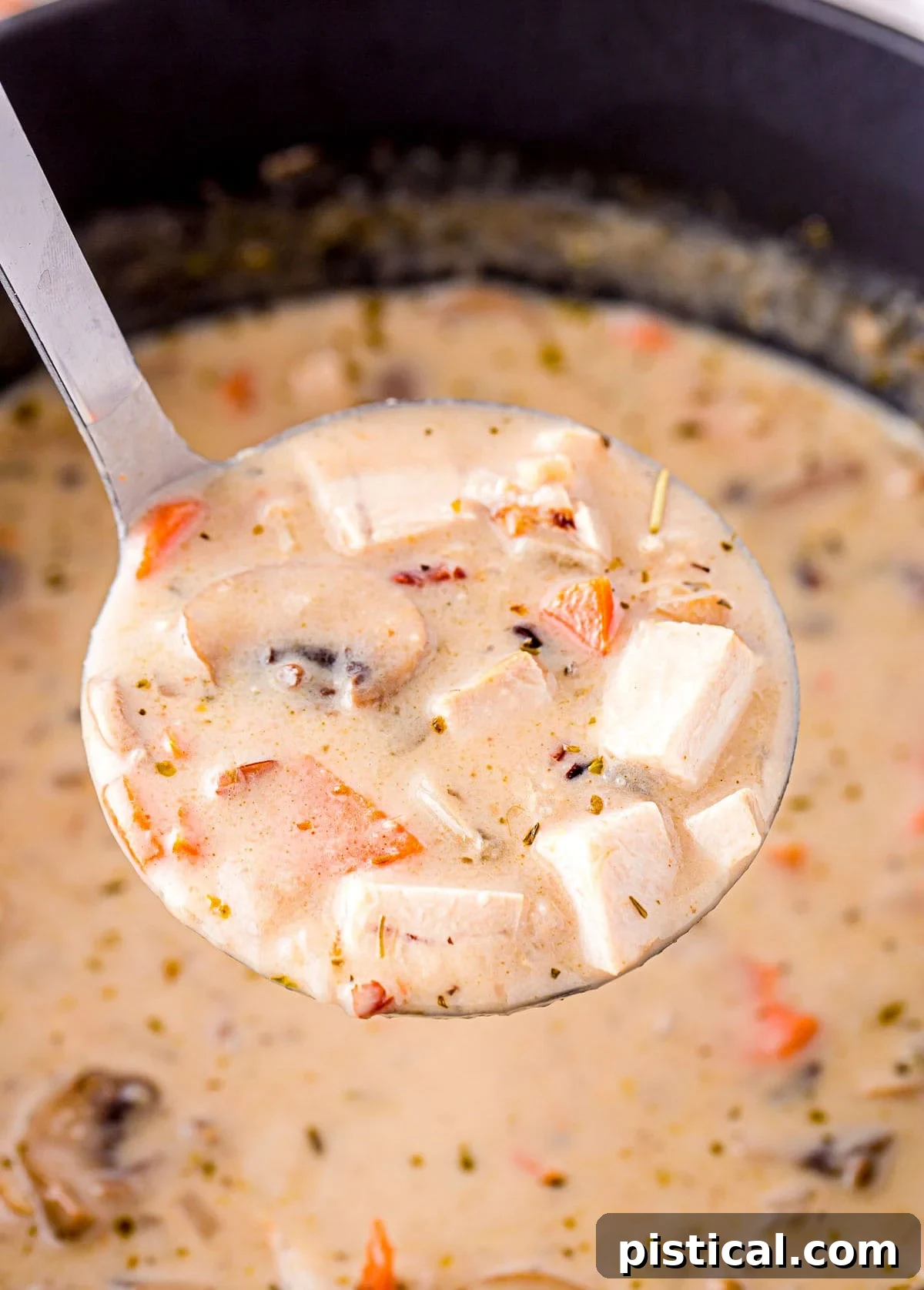ladle of wild rice soup made with leftover turkey held over the pot.