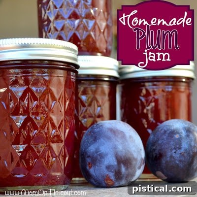 Homemade Plum Jam | So much better than store bought jam! The Best Homemade Plum Jam Recipe for Canning