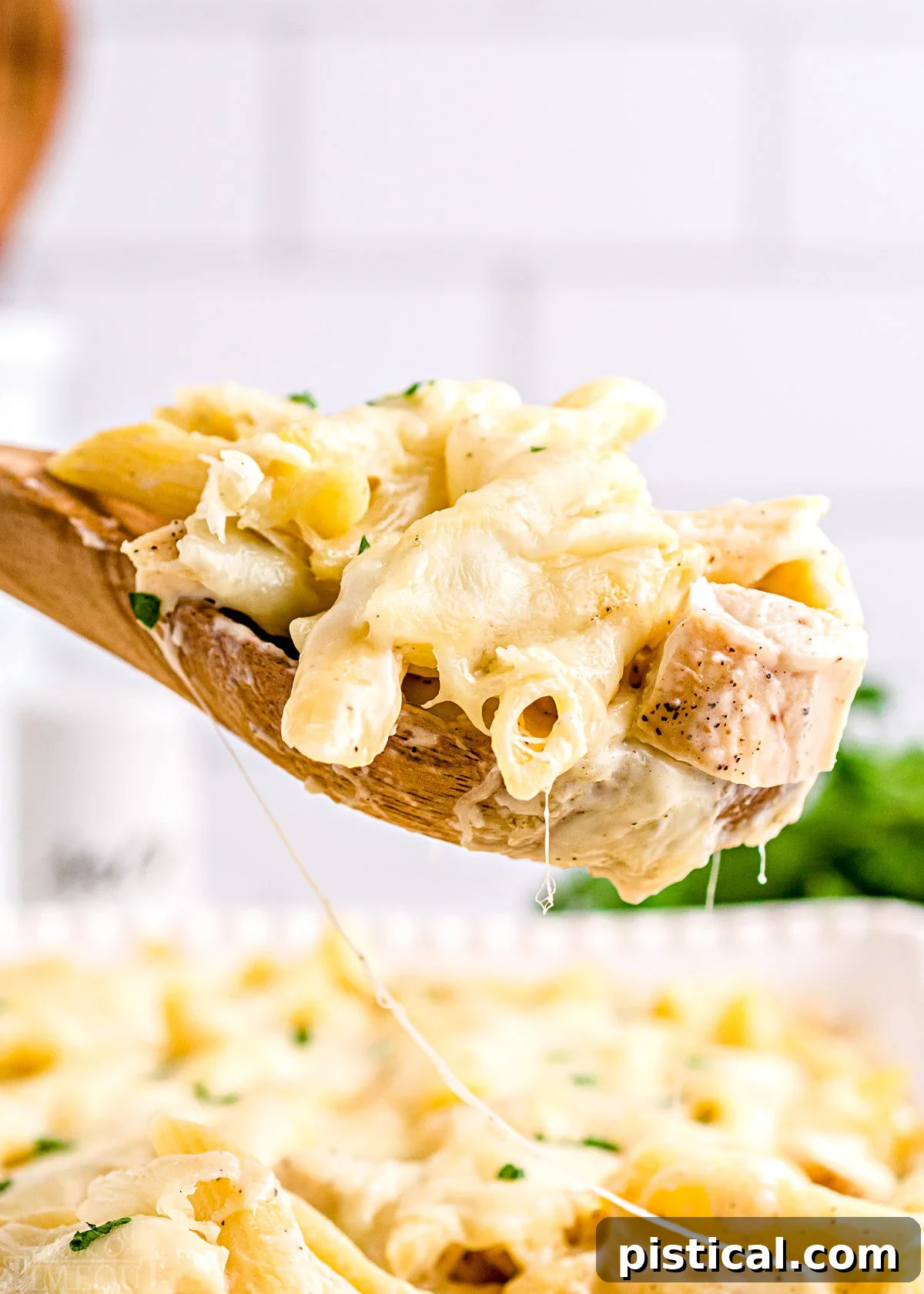 wooden spoonful of chicken alfredo bake held above baking dish.