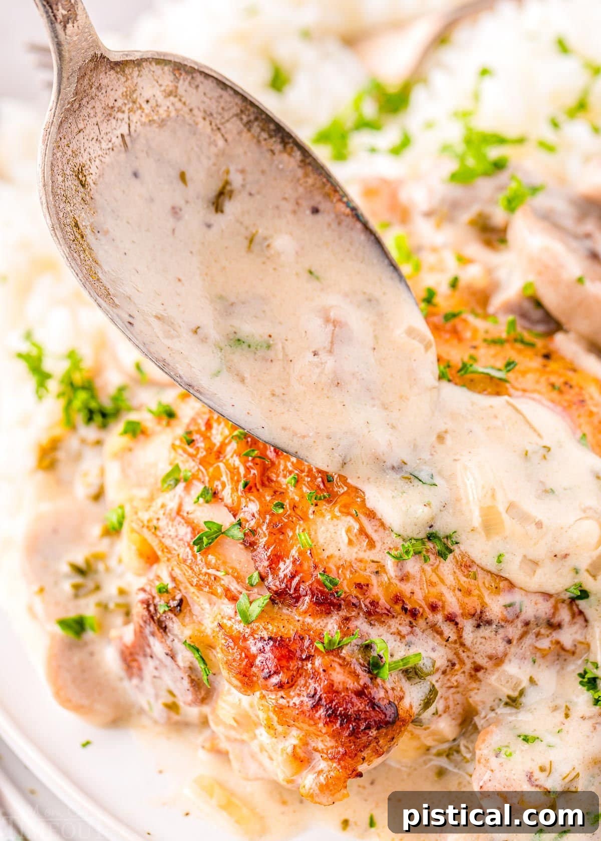 A spoonful of creamy white wine mushroom sauce being drizzled over a golden brown chicken thigh and fluffy white rice on a plate.