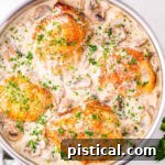 top down look a the chicken fricassee in the skillet with the white wine mushroom sauce.