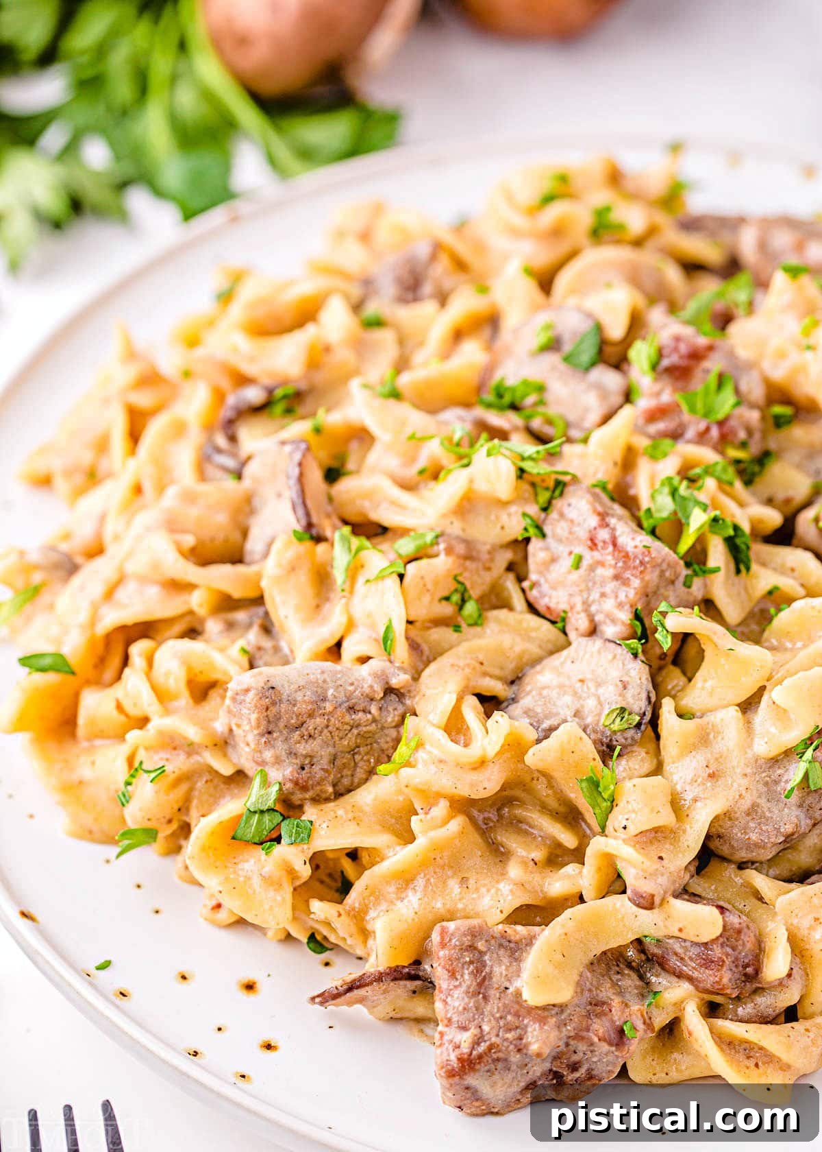 Creamy Instant Pot Beef Stroganoff 2 Close up image of Instant Pot Beef Stroganoff plated on a white dinner plate, garnished with fresh parsley.