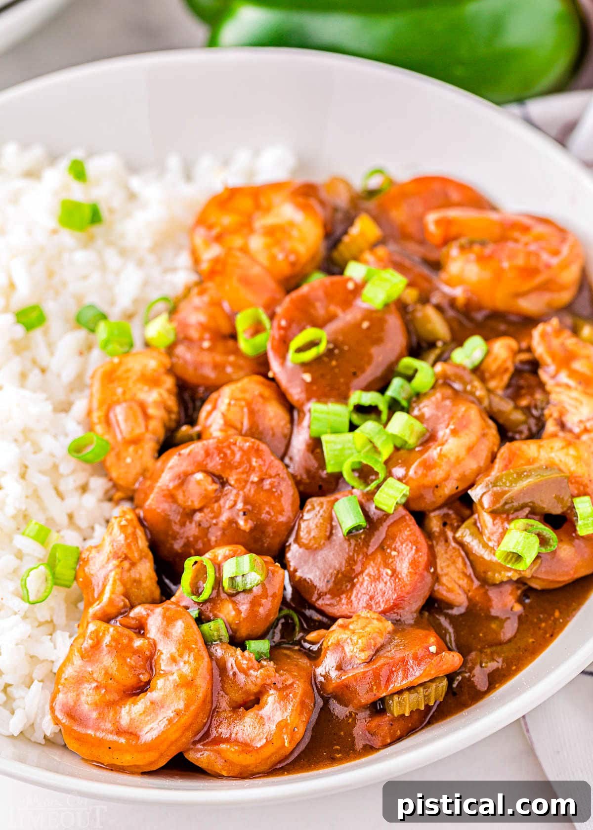 Foolproof Gumbo 2 A vibrant bowl of Gumbo served with a scoop of white rice and garnished with fresh scallions, inviting diners to savor its rich flavors.