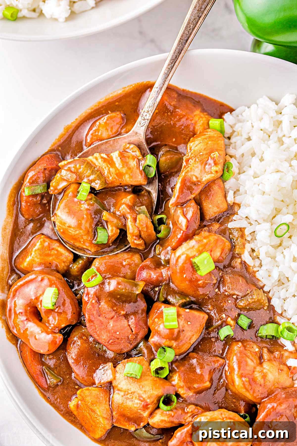 Foolproof Gumbo 5 A close-up of a spoonful of Gumbo on a white plate, served alongside white rice and garnished with green onion, highlighting the rich texture and ingredients.
