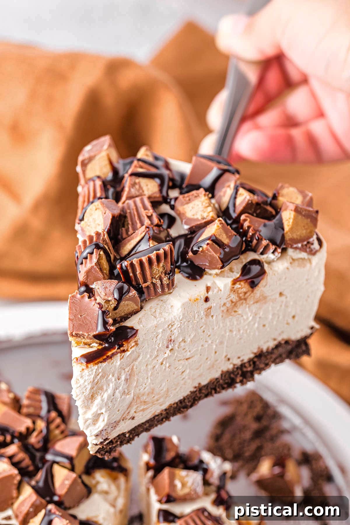 A beautifully presented slice of peanut butter cheesecake being lifted from the pan, ready to be served onto a plate.