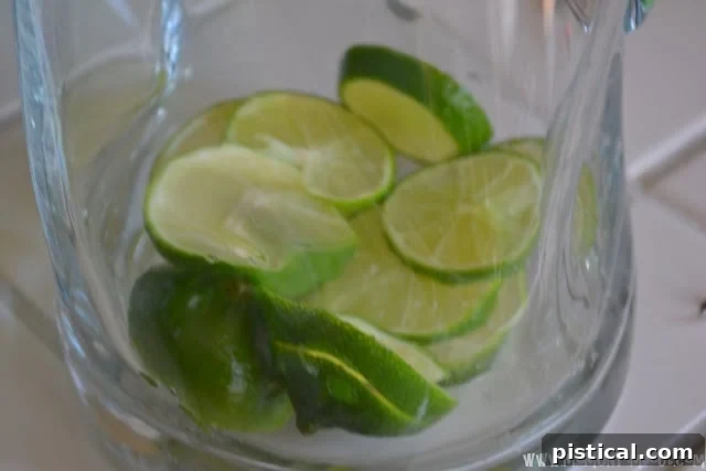 Gamma Green Zest Party Punch 4 Sliced fresh limes arranged at the bottom of a punch bowl, ready for the next ingredients.