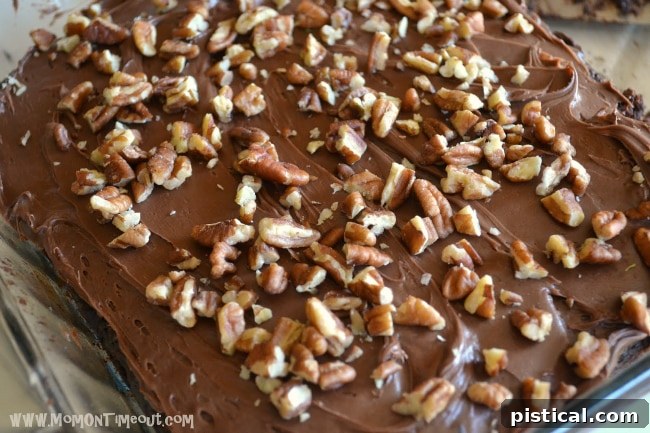 Amazing Zucchini Brownies | MomOnTimeout.com Pan of chocolate frosted zucchini brownies