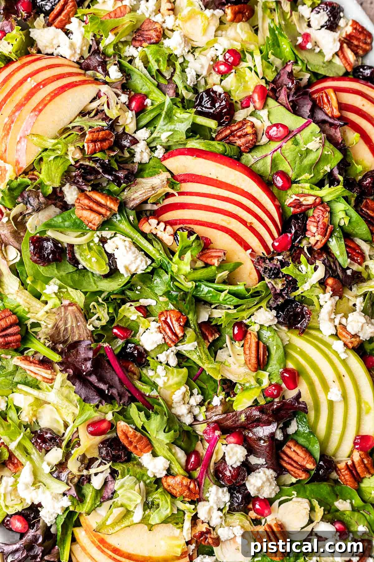 Crisp Autumn Apple Salad 3 close up look at apple salad made with brussels sprouts and cranberries.