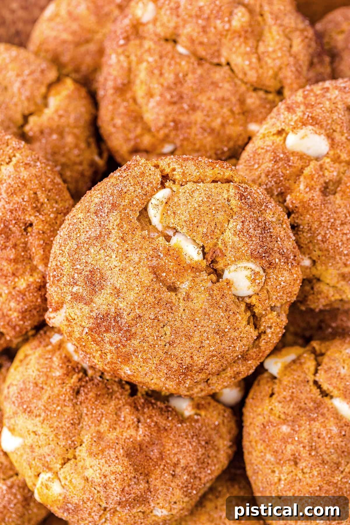Close-up look at a stack of freshly baked pumpkin snickerdoodle cookies.