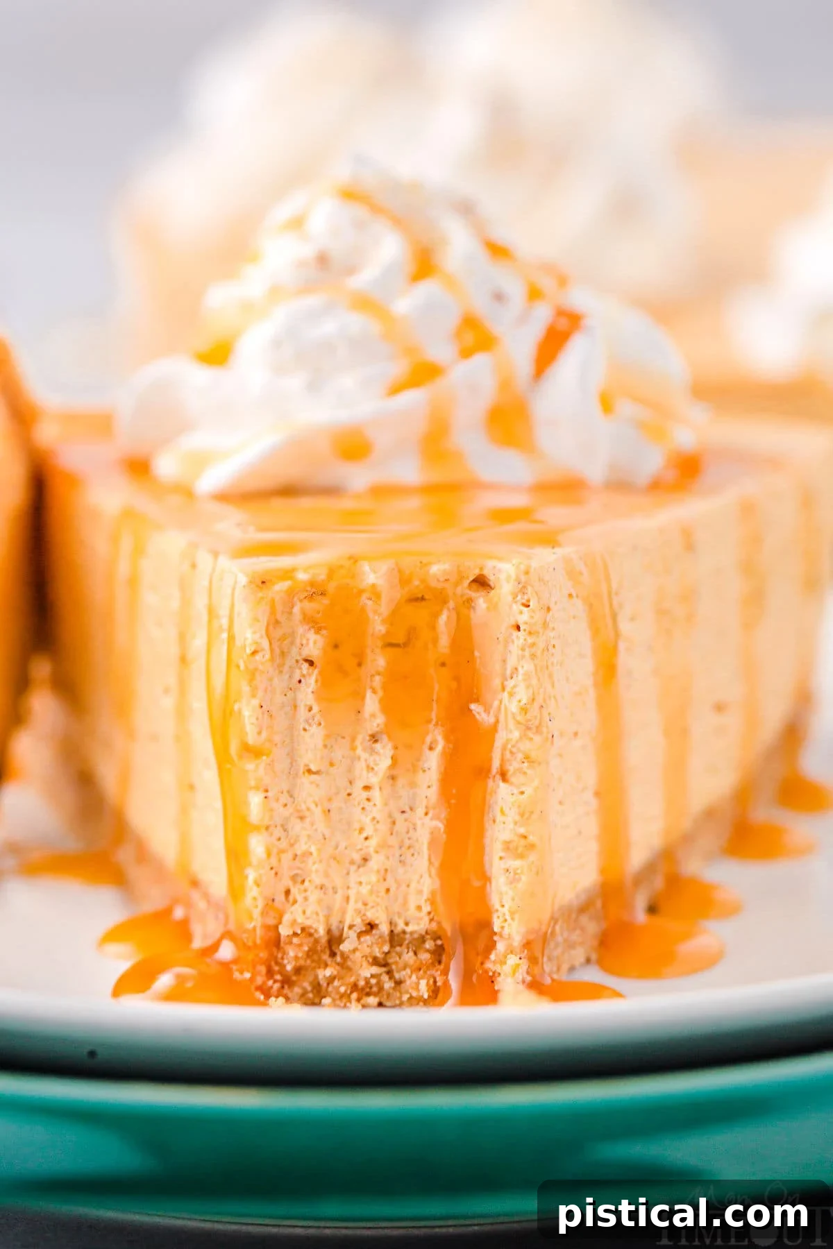 Decadent No Bake Pumpkin Cheesecake 4 A slice of pumpkin cheesecake on a plate, with a fork mark showing its creamy texture. It's topped with whipped cream and a drizzle of caramel sauce.