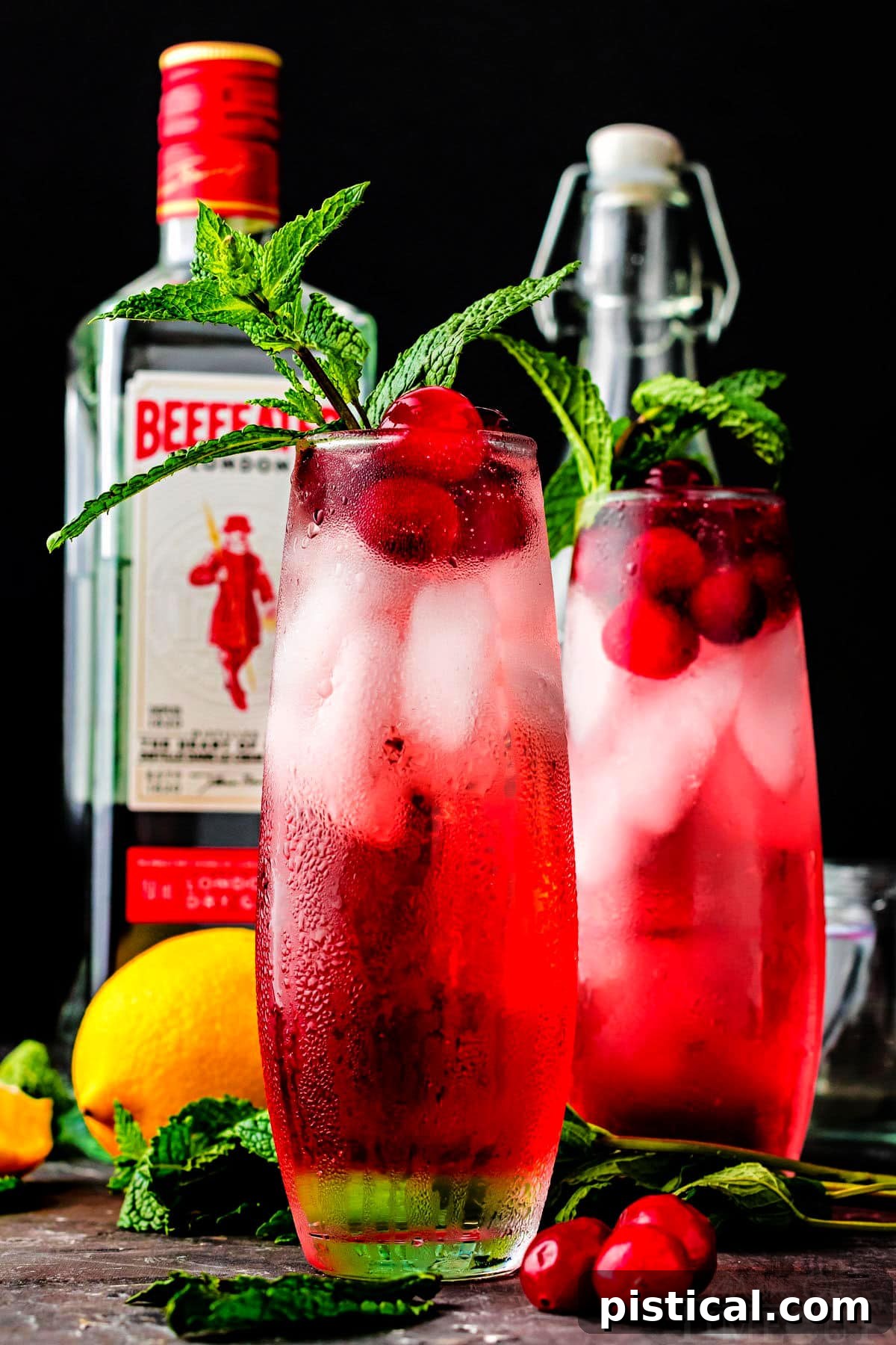 two cranberry gin cocktails in front of a bottle of gin with fresh mint garnish and lemons sitting nearby.