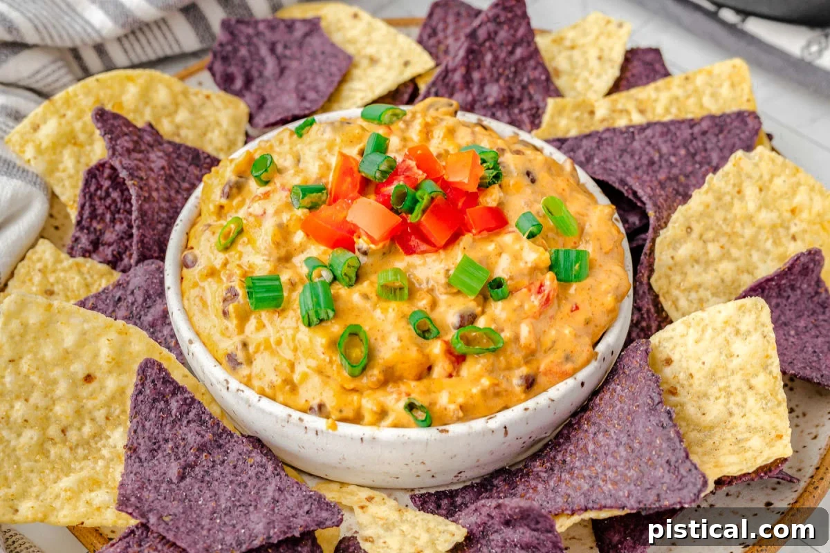 rotel dip in white bowl topped with sliced green onions and diced tomatoes. bowl is sitting on a plate with purple and white tortilla chips.