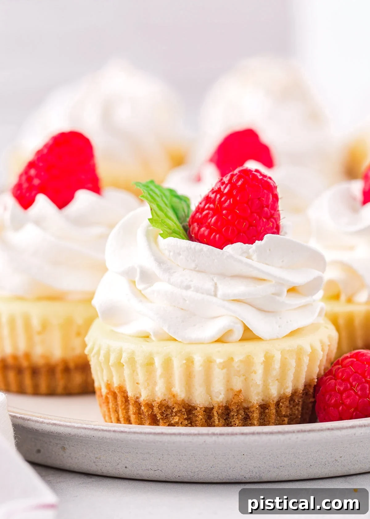 mini cheesecakes sitting on a gray plate topped with whipped cream, raspberries and mint leaves.