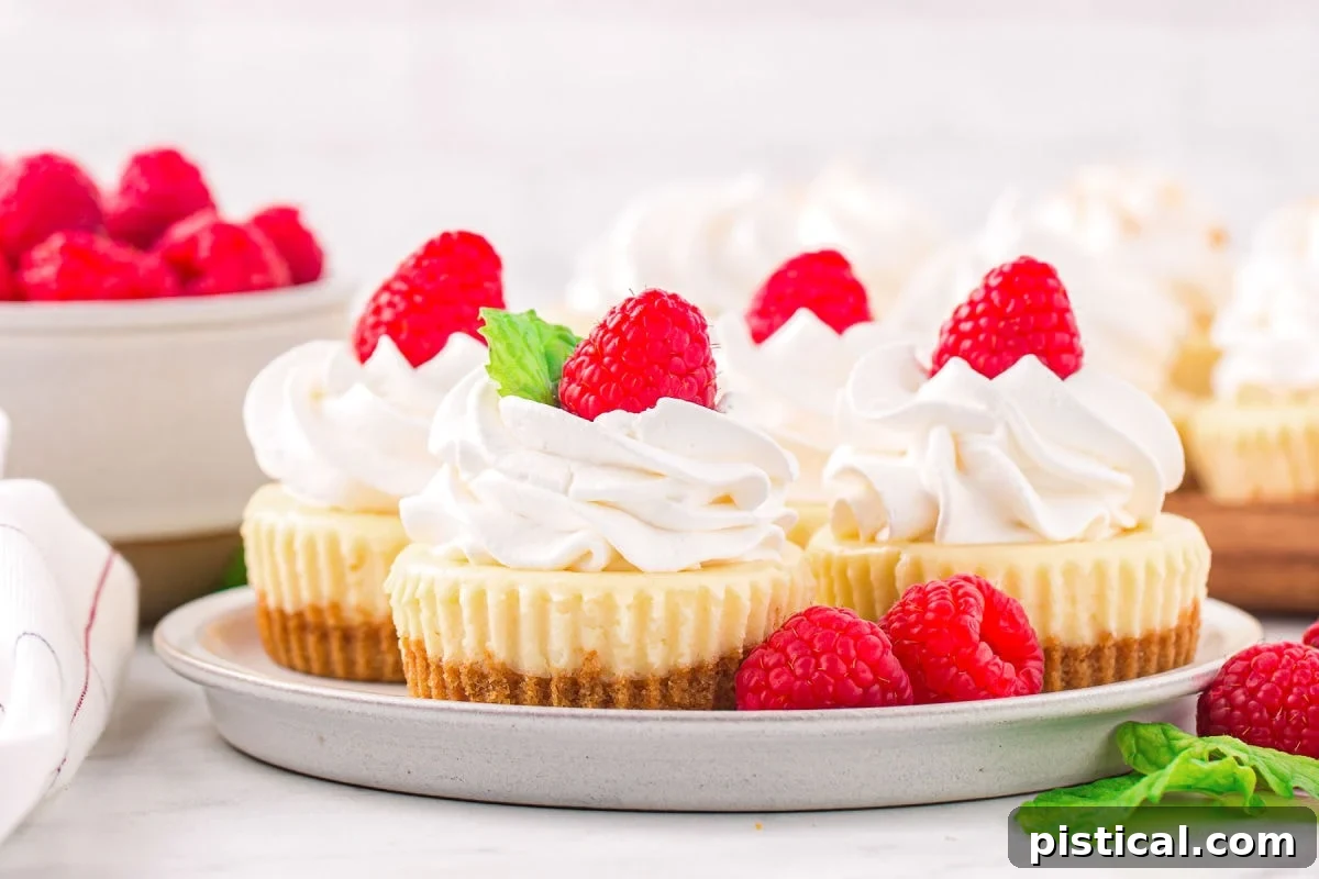 wide shot of small plate with four mini cheesecakes with whipped cream garnish and fresh raspberries on top. a bowl of raspberries can be seen in the background.